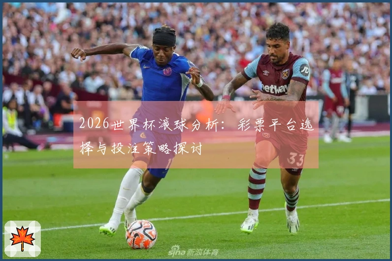 2026世界杯滚球分析：彩票平台选择与投注策略探讨