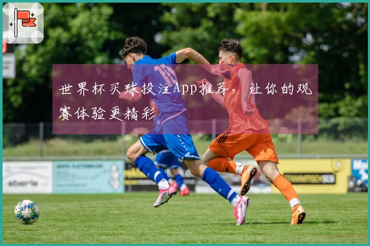 世界杯买球投注App推荐，让你的观赛体验更精彩