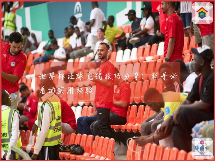 世界杯让球竞猜技巧分享：新手必看的实用经验