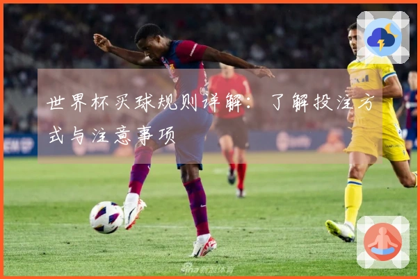 世界杯买球规则详解：了解投注方式与注意事项