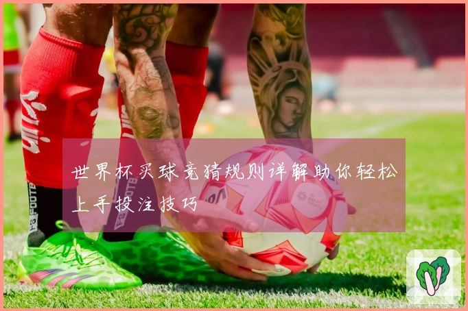 世界杯买球竞猜规则详解助你轻松上手投注技巧