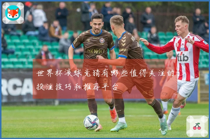 世界杯滚球竞猜有哪些值得关注的投注技巧和推荐平台