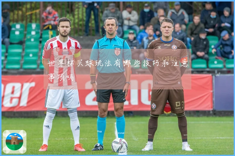 世界杯买球玩法有哪些技巧和注意事项吗