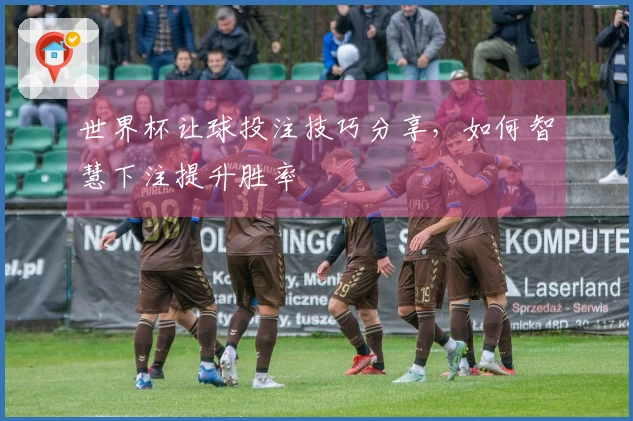 世界杯让球投注技巧分享，如何智慧下注提升胜率