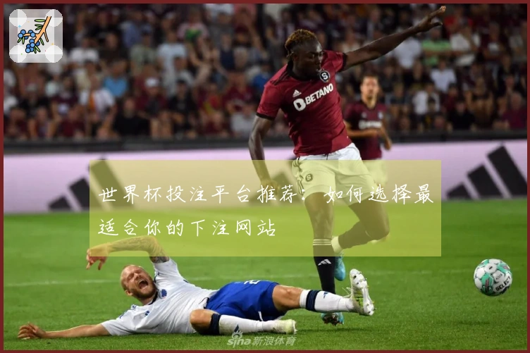 世界杯投注平台推荐：如何选择最适合你的下注网站