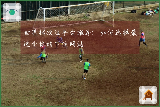 世界杯投注平台推荐：如何选择最适合你的下注网站